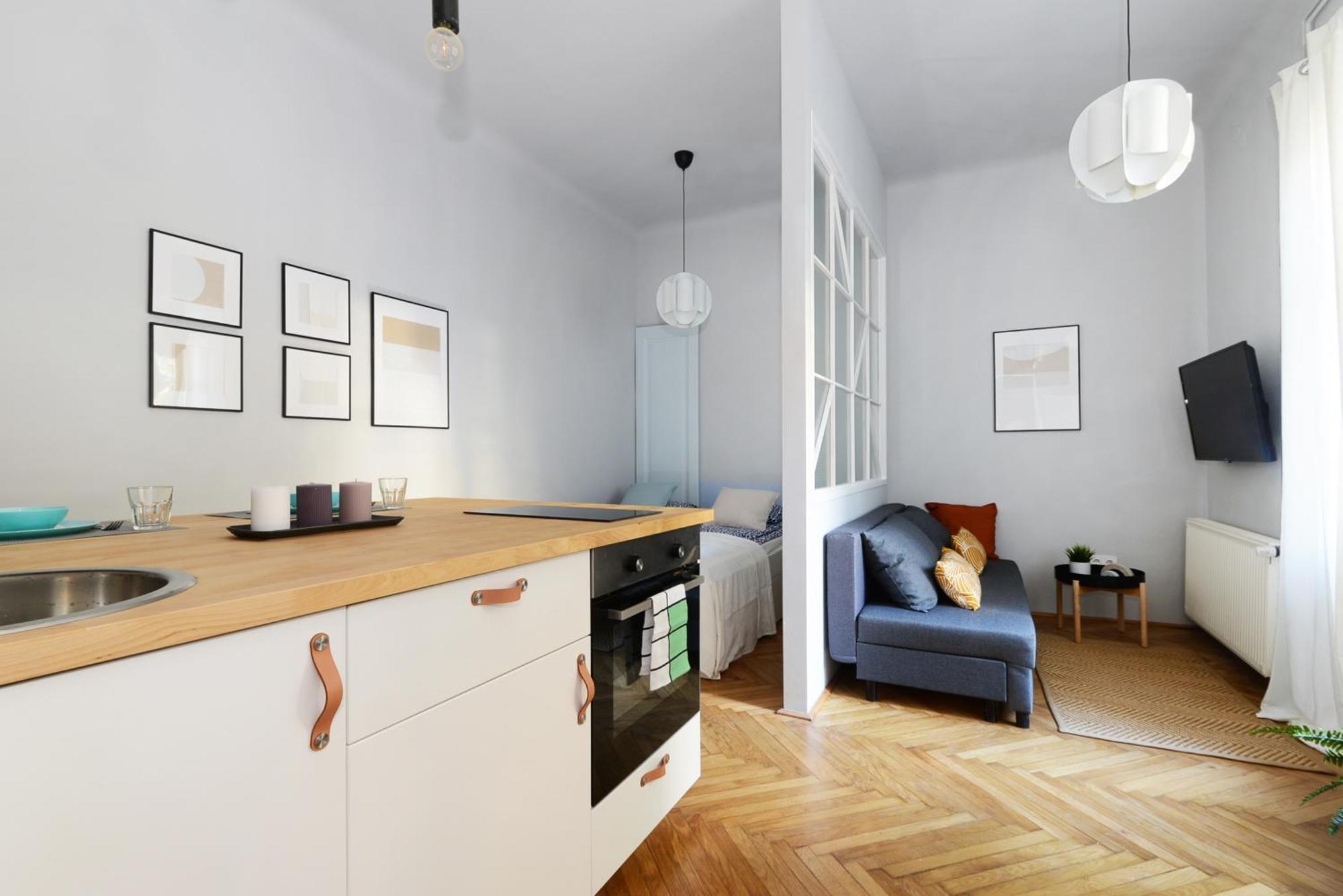 Monochrome Chic Apartments R613 布达佩斯 外观 照片